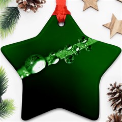 Drops Star Ornament by Siebenhuehner