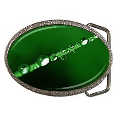 Drops Belt Buckle (oval)