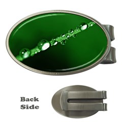 Drops Money Clip (oval) by Siebenhuehner