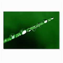 Drops Postcard 4 x 6  (10 Pack) by Siebenhuehner