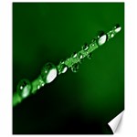 Drops Canvas 20  x 24  (Unframed) 19.57 x23.15  Canvas - 1