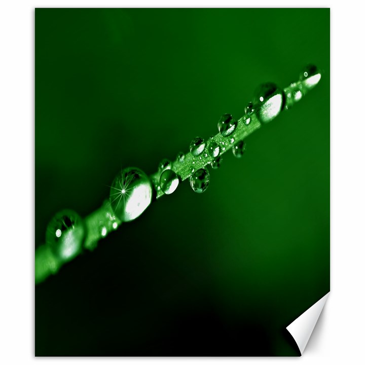 Drops Canvas 20  x 24  (Unframed)