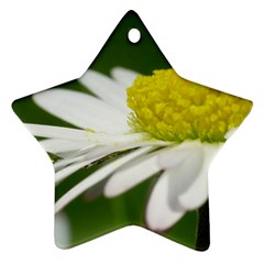 Daisy With Drops Star Ornament by Siebenhuehner