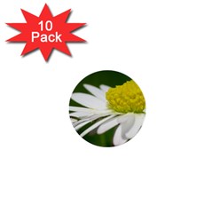 Daisy With Drops 1  Mini Button (10 Pack) by Siebenhuehner