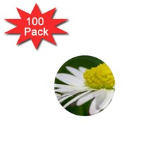 Daisy With Drops 1  Mini Button Magnet (100 Pack) by Siebenhuehner