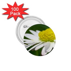 Daisy With Drops 1 75  Button (100 Pack) by Siebenhuehner