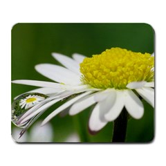 Daisy With Drops Large Mouse Pad (rectangle) by Siebenhuehner