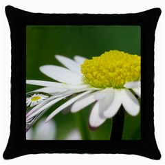 Daisy With Drops Black Throw Pillow Case by Siebenhuehner