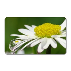 Daisy With Drops Magnet (rectangular) by Siebenhuehner