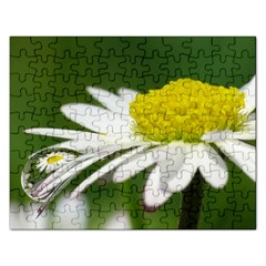 Daisy With Drops Jigsaw Puzzle (rectangle) by Siebenhuehner