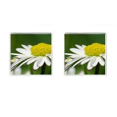 Daisy With Drops Cufflinks (square) by Siebenhuehner