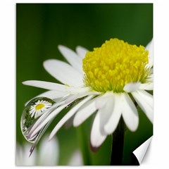 Daisy With Drops Canvas 8  X 10  (unframed) by Siebenhuehner