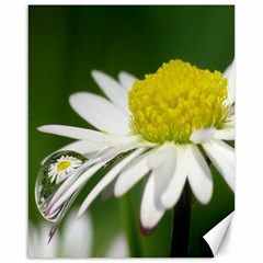 Daisy With Drops Canvas 16  X 20  (unframed) by Siebenhuehner