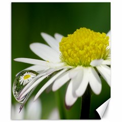 Daisy With Drops Canvas 20  X 24  (unframed) by Siebenhuehner