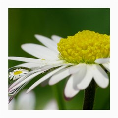 Daisy With Drops Glasses Cloth (medium, Two Sided) by Siebenhuehner