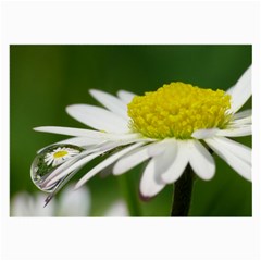 Daisy With Drops Glasses Cloth (large, Two Sided) by Siebenhuehner