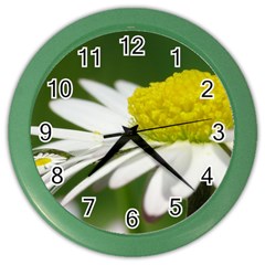 Daisy With Drops Wall Clock (color) by Siebenhuehner