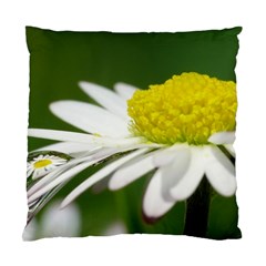 Daisy With Drops Cushion Case (single Sided)  by Siebenhuehner