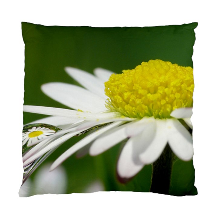 Daisy With Drops Cushion Case (Single Sided) 