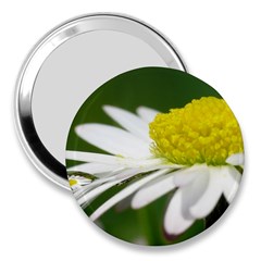 Daisy With Drops 3  Handbag Mirror by Siebenhuehner