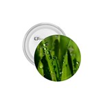 Grass Drops 1.75  Button Front