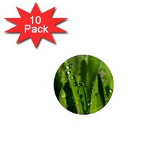 Grass Drops 1  Mini Button Magnet (10 Pack) by Siebenhuehner