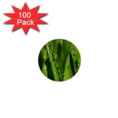 Grass Drops 1  Mini Button (100 Pack) by Siebenhuehner