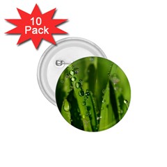 Grass Drops 1 75  Button (10 Pack) by Siebenhuehner