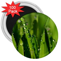 Grass Drops 3  Button Magnet (100 Pack) by Siebenhuehner