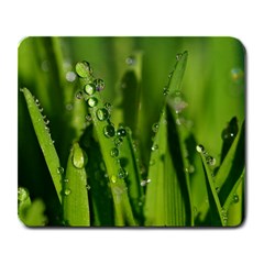 Grass Drops Large Mouse Pad (rectangle) by Siebenhuehner