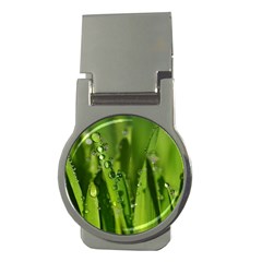 Grass Drops Money Clip (round) by Siebenhuehner