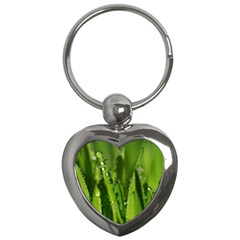 Grass Drops Key Chain (heart) by Siebenhuehner