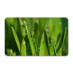 Grass Drops Magnet (rectangular) by Siebenhuehner