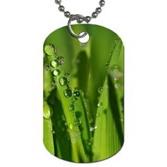 Grass Drops Dog Tag (one Sided) by Siebenhuehner