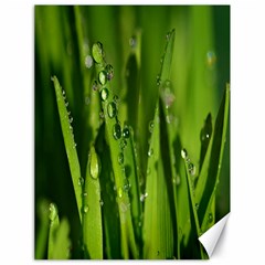 Grass Drops Canvas 18  X 24  (unframed) by Siebenhuehner