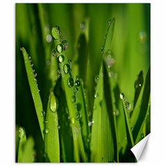 Grass Drops Canvas 20  X 24  (unframed) by Siebenhuehner