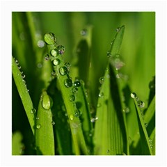 Grass Drops Glasses Cloth (medium, Two Sided) by Siebenhuehner