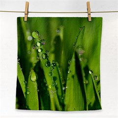 Grass Drops Face Towel by Siebenhuehner