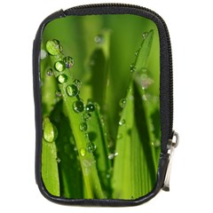 Grass Drops Compact Camera Leather Case by Siebenhuehner