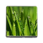 Grass Drops Memory Card Reader with Storage (Square) Front