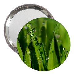 Grass Drops 3  Handbag Mirror by Siebenhuehner