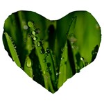 Grass Drops 19  Premium Heart Shape Cushion Front