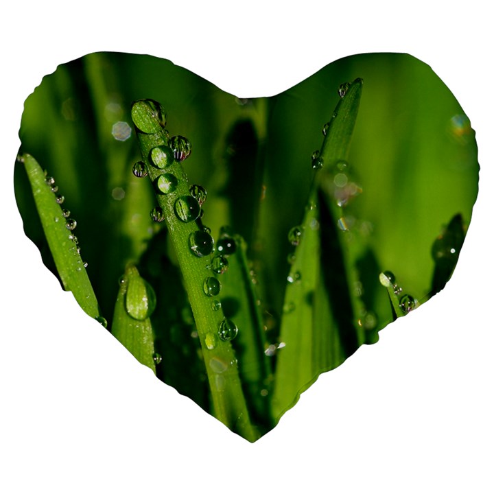 Grass Drops 19  Premium Heart Shape Cushion