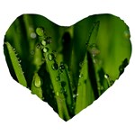 Grass Drops 19  Premium Heart Shape Cushion Back