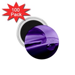 Drops 1 75  Button Magnet (100 Pack) by Siebenhuehner