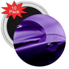 Drops 3  Button Magnet (10 Pack) by Siebenhuehner