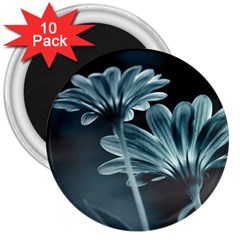 Osterspermum 3  Button Magnet (10 pack)