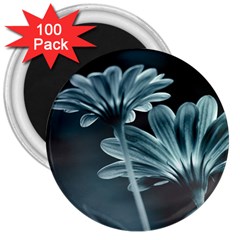 Osterspermum 3  Button Magnet (100 pack)