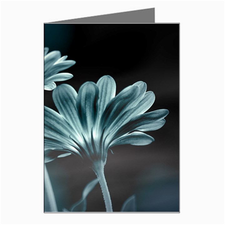 Osterspermum Greeting Card