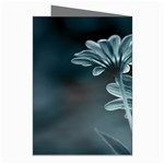 Osterspermum Greeting Card (8 Pack) Right